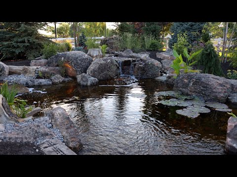 A Little Planting & Mulching the New Pond Area!