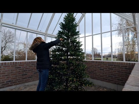 Hartley Christmas Tree, New Caladiums & Installing Bird Feeders!