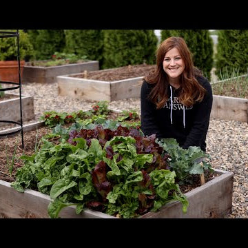 How to Grow Spinach for Beginners!
