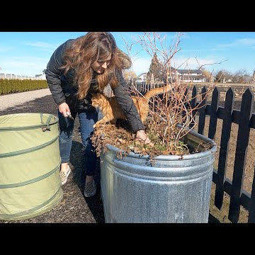 Pruning Blueberries & Starting Herb Seeds!