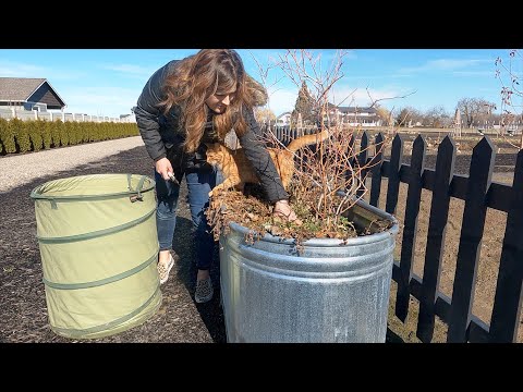Pruning Blueberries & Starting Herb Seeds!