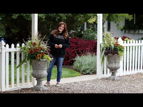 Fall Container Inspiration! // Garden Answer