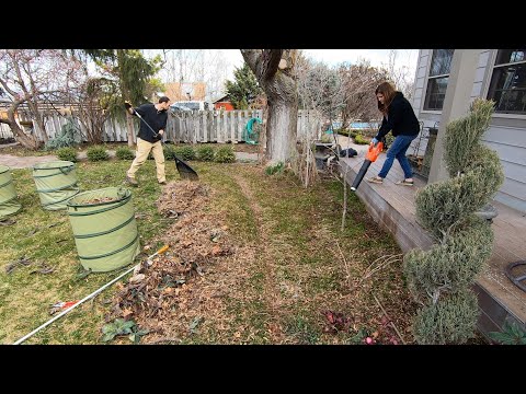 Work Day At My Parent's Garden