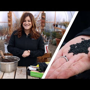 How to Start Onion Seeds Indoors!