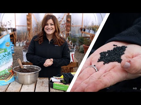 How to Start Onion Seeds Indoors!