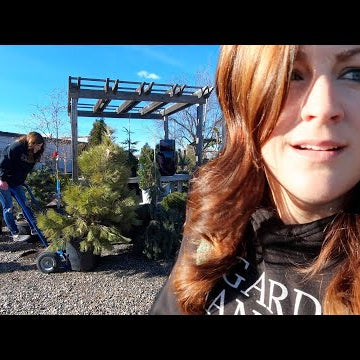 I Spent the Day Working at The Garden Center