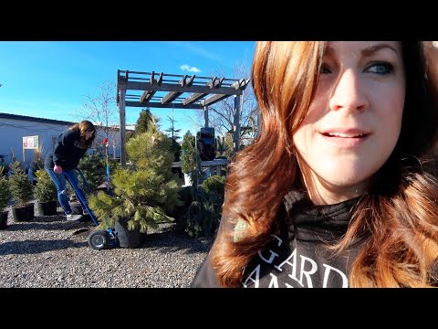 I Spent the Day Working at The Garden Center
