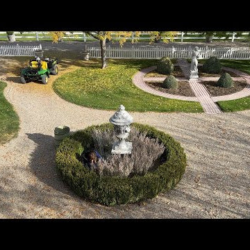 Planting Alliums & Tulips in the Garden!