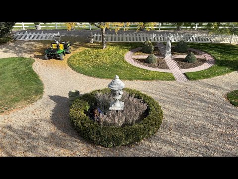Planting Alliums & Tulips in the Garden!