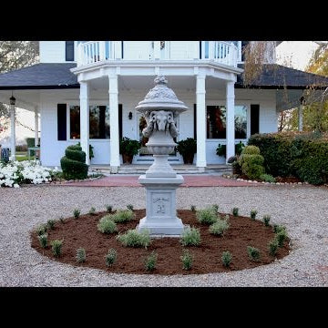 Starting a Formal Garden