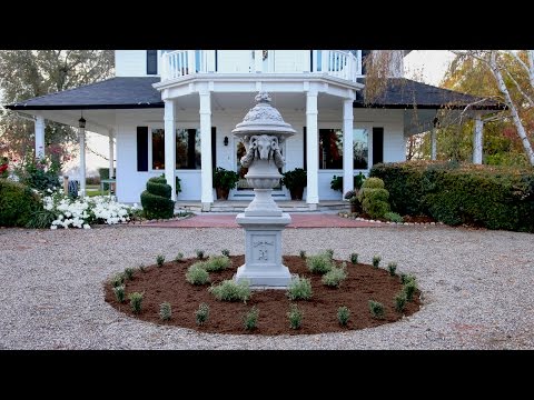 Starting a Formal Garden