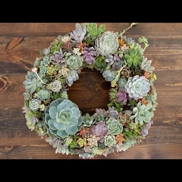 Succulent Wreath
