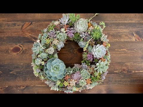 Succulent Wreath