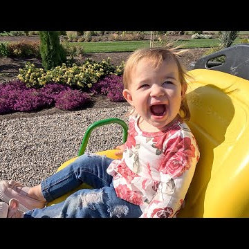 Planting Roses!