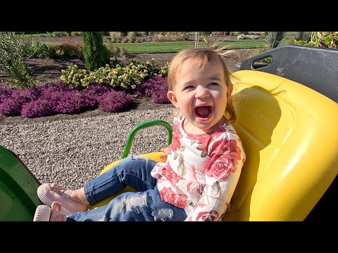 Planting Roses!