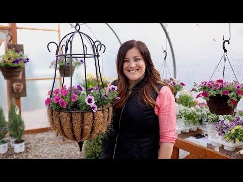 Planting Hanging Baskets: Getting Started!
