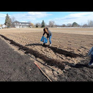 Planting the First Seeds in the Cut Flower Garden!