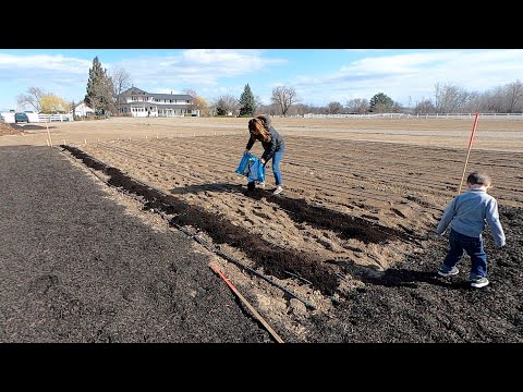 Planting the First Seeds in the Cut Flower Garden!