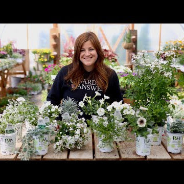 White Blooming Annuals for Our Moon Garden!