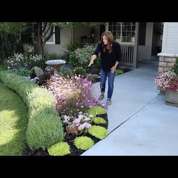 Update on the Garden We Planted For Mother’s Day!