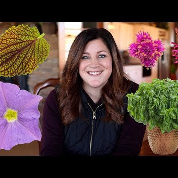 New Plants for 2019