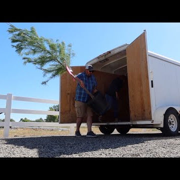 Picking Out Bricks For the New Glass Greenhouse + Plant Shopping!