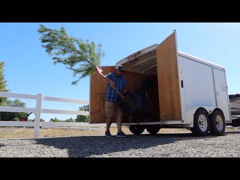 Picking Out Bricks For the New Glass Greenhouse + Plant Shopping!