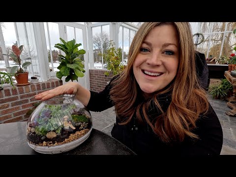 Putting Together a Simple Terrarium!
