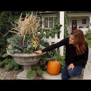 Fall Containers with Cornstalks!