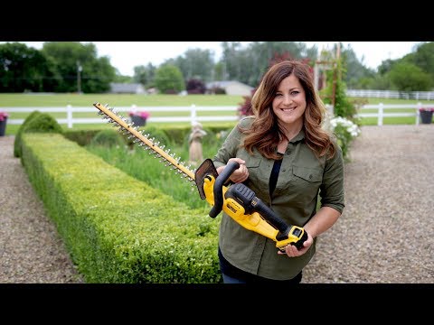 Trimming Boxwoods | Dewalt 20v Hedge Trimmer Review