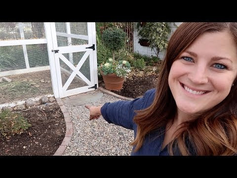 Planting Hydrangeas, Fixing the Chicken Coop, & Planting a Couple Pots!