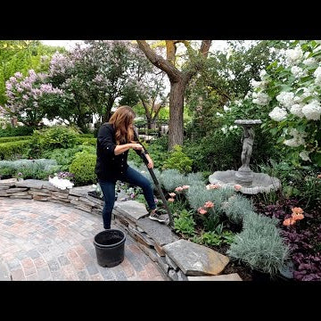 Planting up Our Kitchen Flowerbed!