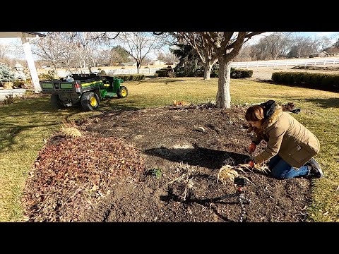 Transplanting a Few Perennials!