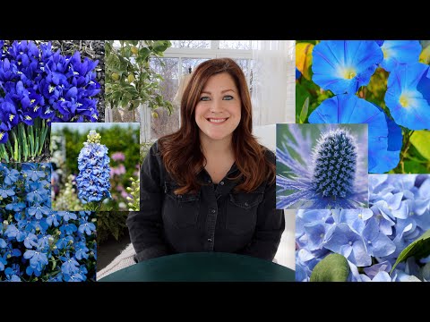 20+ Plants With Blue Flowers!