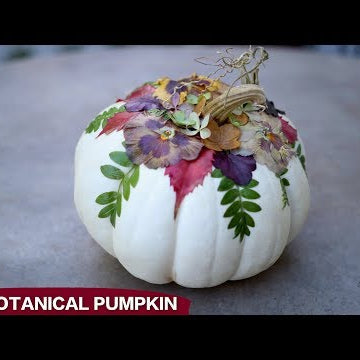 DIY Botanical Pumpkins!