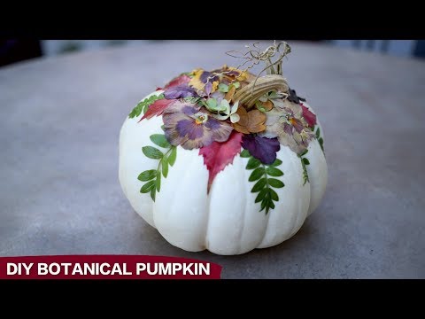 DIY Botanical Pumpkins!