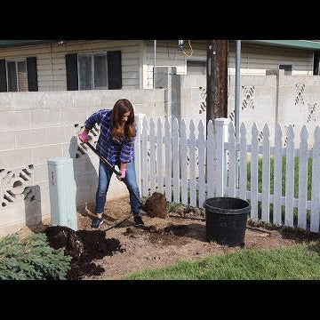 Landscape Makeover Part 2: Planting for Winter Interest & Running Drip Irrigation!