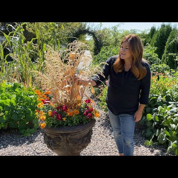 Planting 5 More Fall Containers!