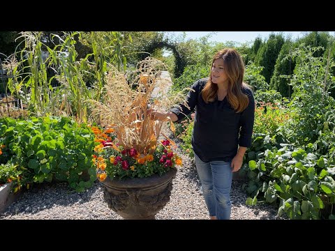 Planting 5 More Fall Containers!