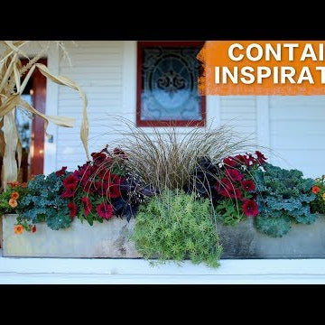 Planting in a Long Container