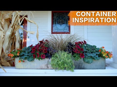 Planting in a Long Container