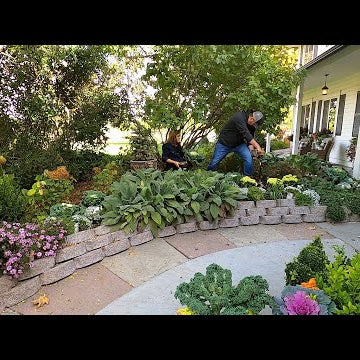A Little Planting, a Little Harvesting, and a Little Cooking!