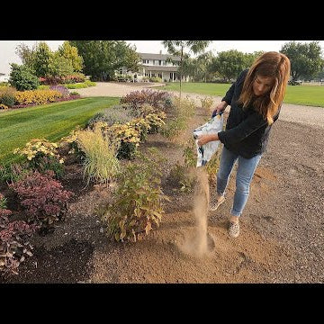 Digging Up and Moving Plants, Fertilizing the Lawn & Boxwood Trimming!