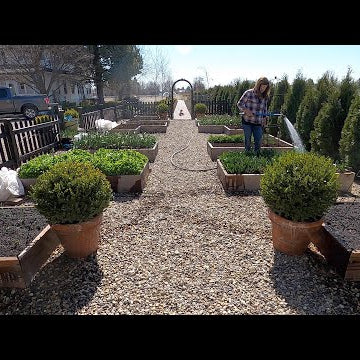 Planting Spring Crops & Starting Tomato/Flower Seed!