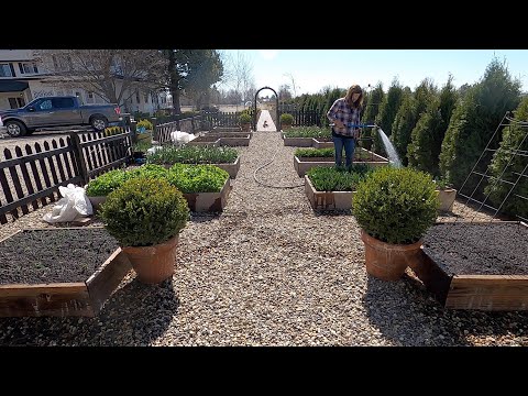 Planting Spring Crops & Starting Tomato/Flower Seed!