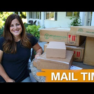 Mail Time | Low Bowls | Pro Plugger | Drill Till