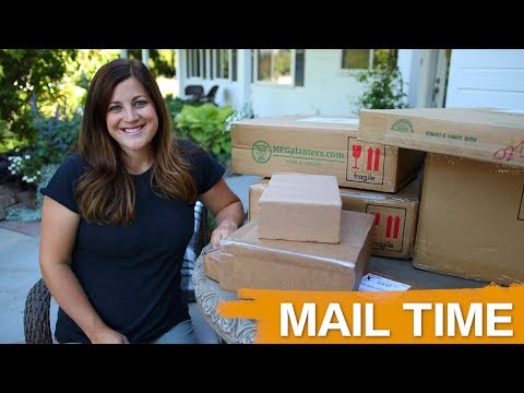 Mail Time | Low Bowls | Pro Plugger | Drill Till