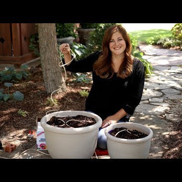 How to Install a Drip System for Containers