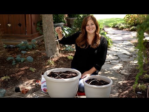 How to Install a Drip System for Containers