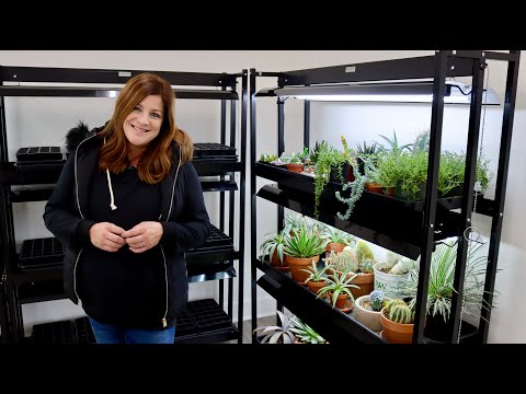 A Tour of Our Grow Lights!